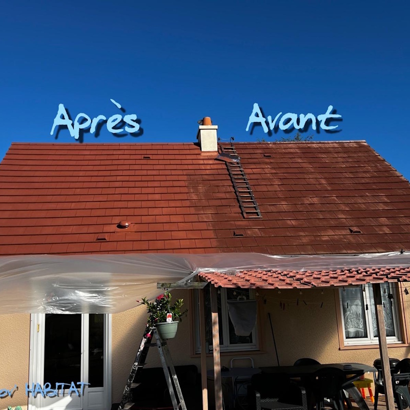 renovation toiture